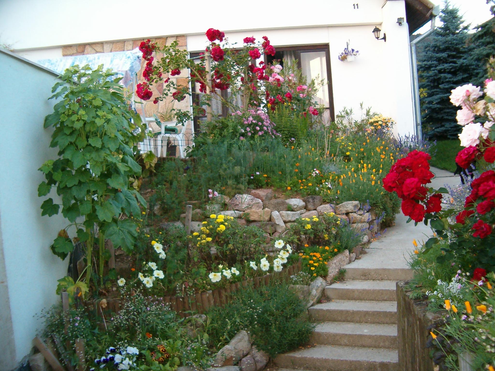 gallery/albums/1088150400/1088114455.jpg