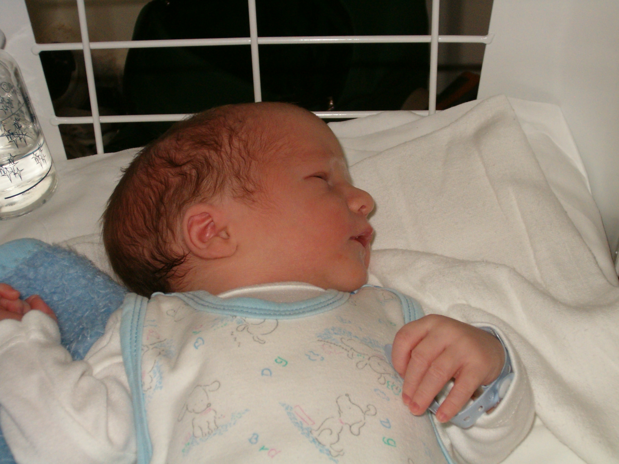 gallery/albums/1090447200/1090533659.jpg