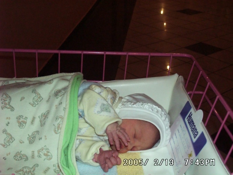 gallery/albums/1108249200/1108249386_800.jpg