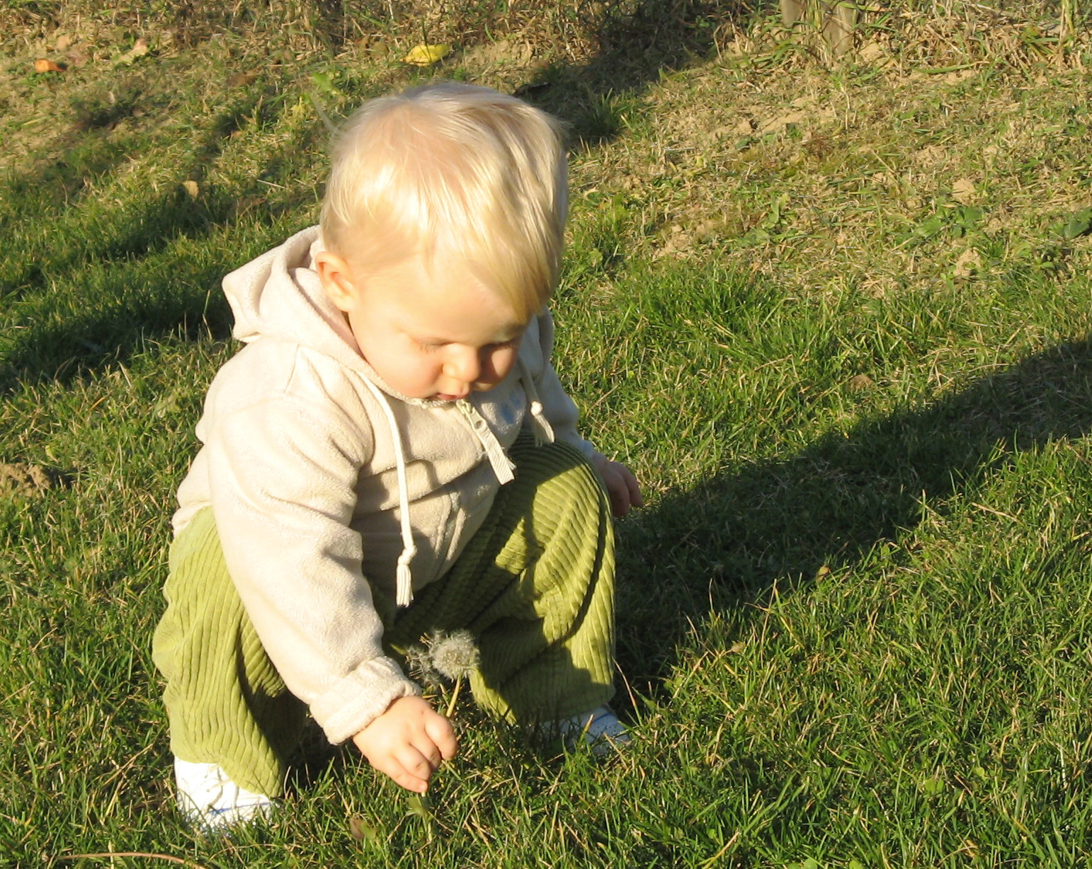 gallery/albums/1166188115/1166192455.jpg