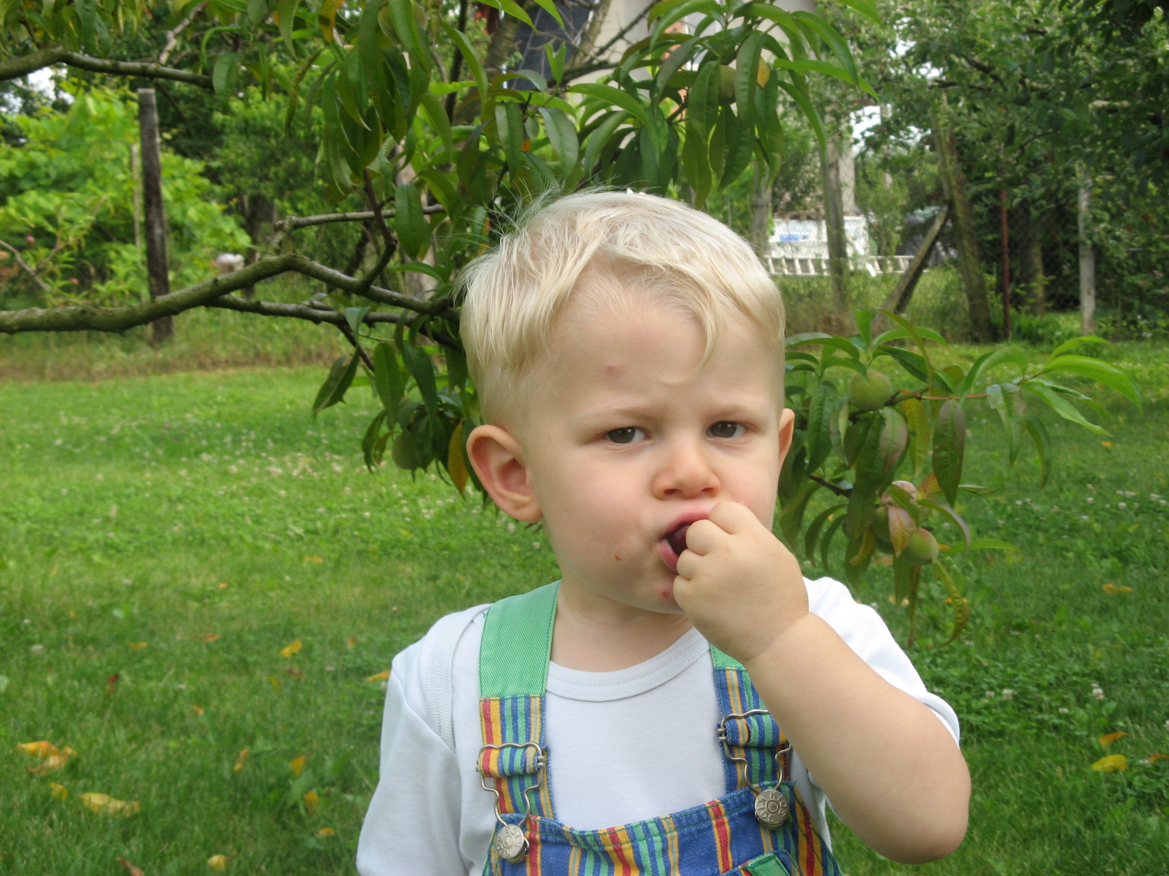 gallery/albums/1182518762/1182518804.jpg