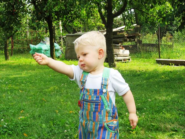 gallery/albums/1182518762/1182519172_640.jpg