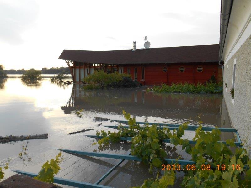 gallery/albums/1370894120/1370894329_800.jpg