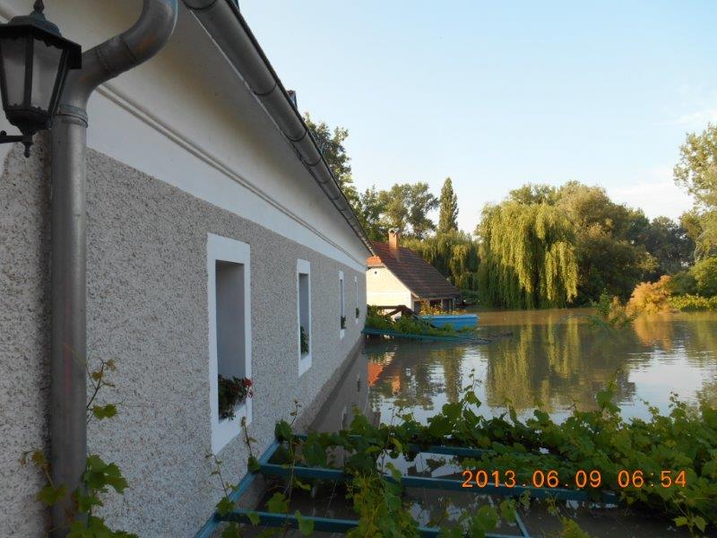 gallery/albums/1370894120/1370894370.jpg