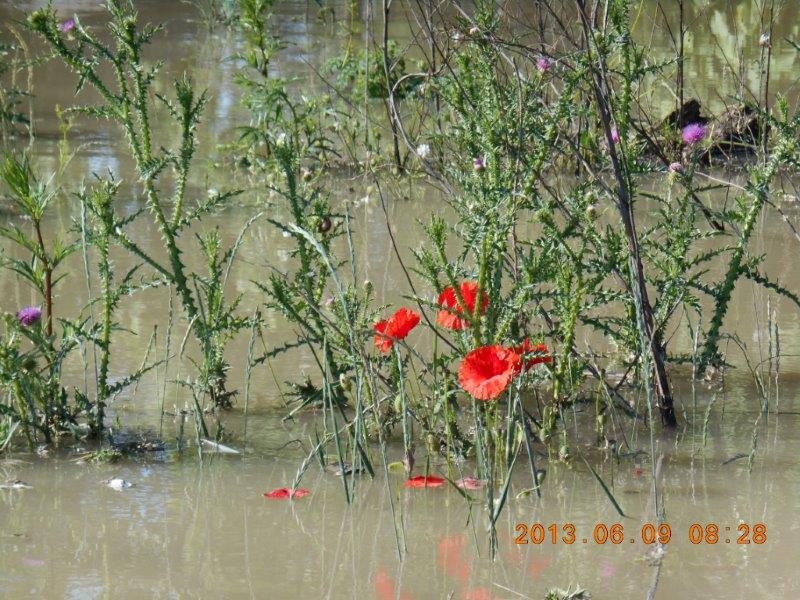 gallery/albums/1370894120/1370894665.jpg