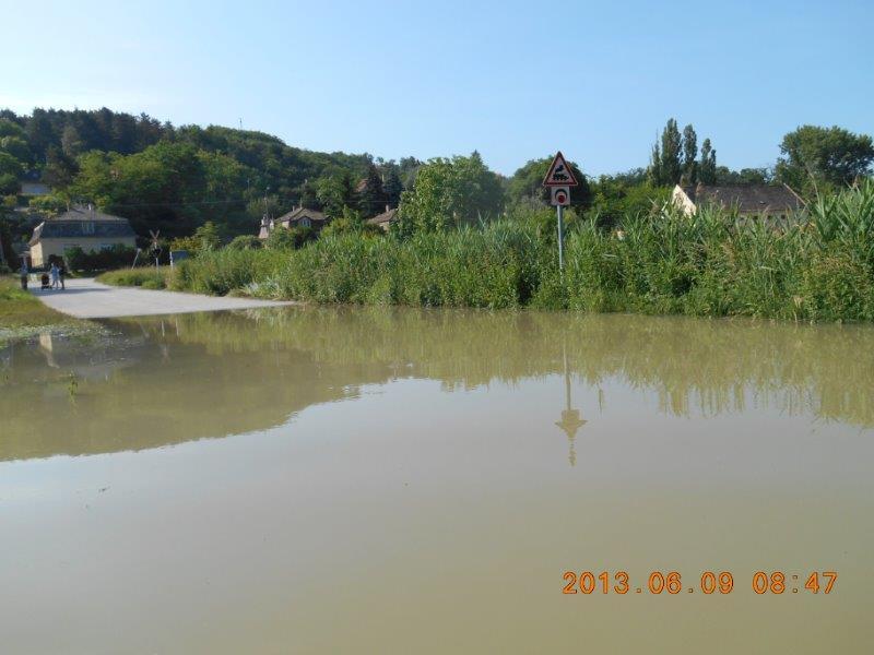 gallery/albums/1370894120/1370894746_800.jpg